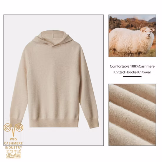 Tuta da jogging da donna in cotone su misura realizzata in fabbrica, tinta unita, sexy, vestibilità slim, sportiva, casual, felpa con cappuccio